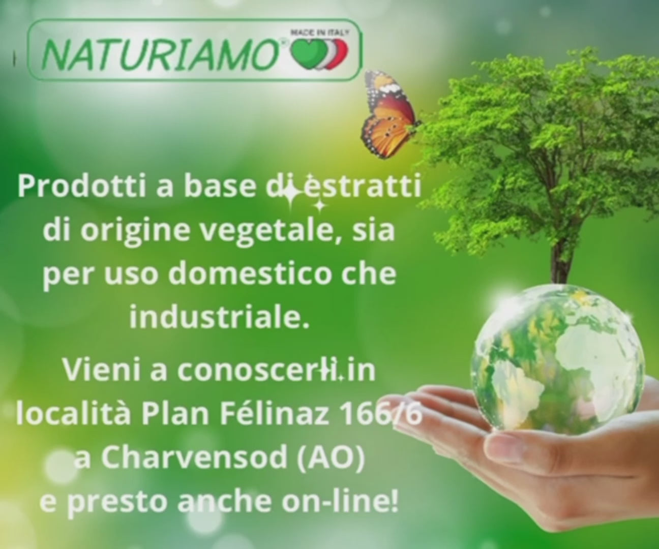 Carica il video: 